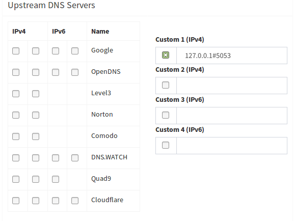 Upstream DNS Options